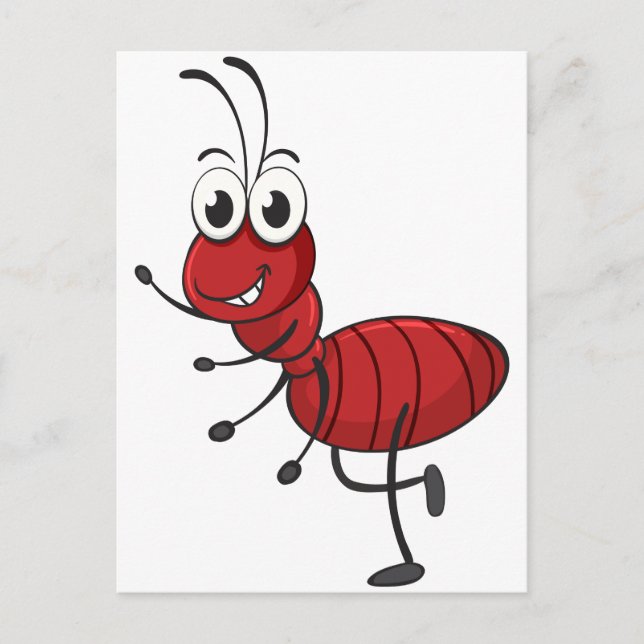an ant postcard (Front)
