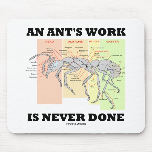 An Ant's Work Is Never Done (Worker Ant Anatomy) Mouse Pad (Front)