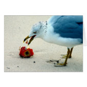 An Apple a Day... (Front Horizontal)