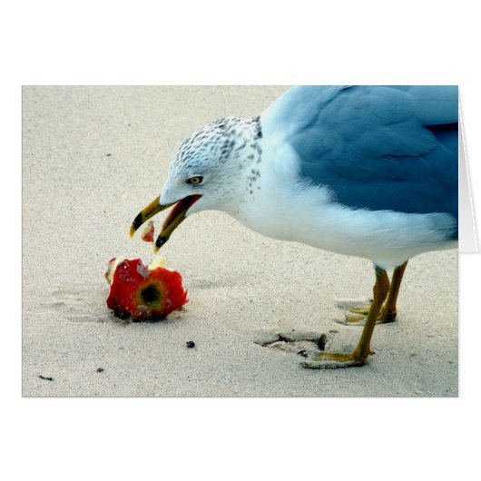 An Apple a Day... (Front Horizontal)