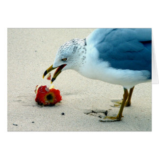 An Apple a Day... Cards