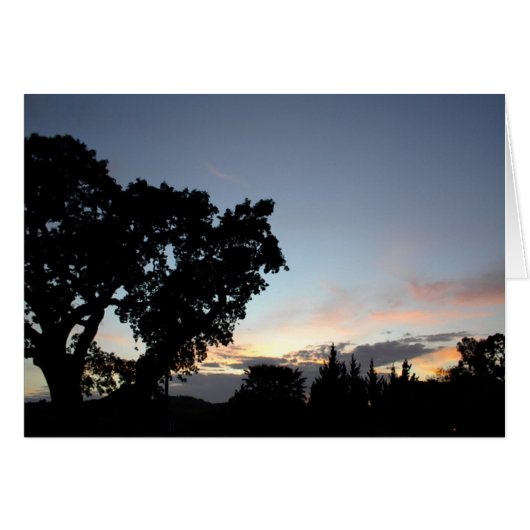 An April Sunset behind a Local Oak Tree Cards (Front Horizontal)