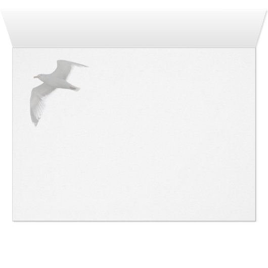 An Arabian Adventure (Inside Horizontal (Bottom))