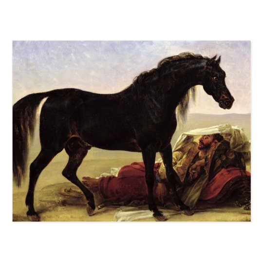 An Arabian Horse Postcard