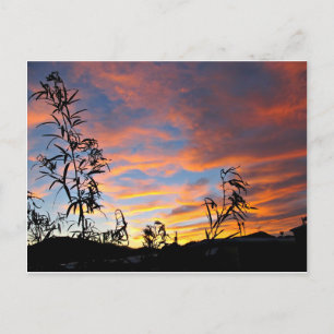 An Arizona Sunset Postcard