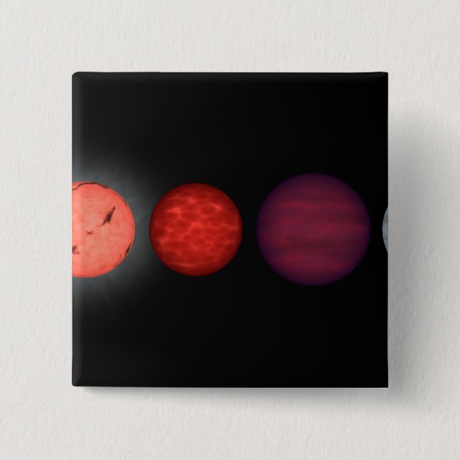 An artist's rendition comparing brown dwarfs pinback button (Front)
