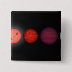 An artist's rendition comparing brown dwarfs pinback button