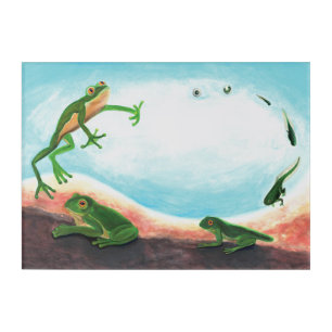 An astonishing life cycle of a frog Acrylic Print