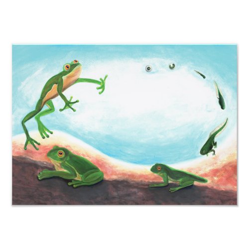  An astonishing life cycle of a frog  Photo Print