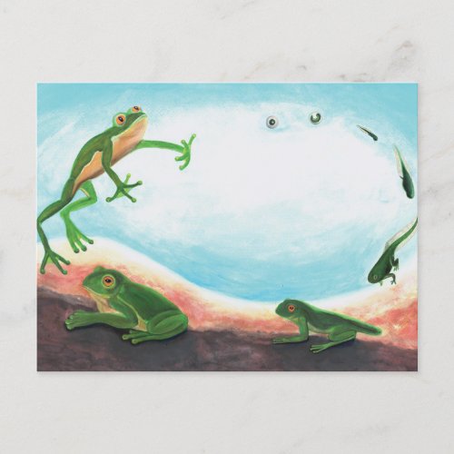  An astonishing life cycle of a frog  Postcard