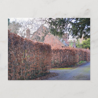 An Autumn Day Postcard