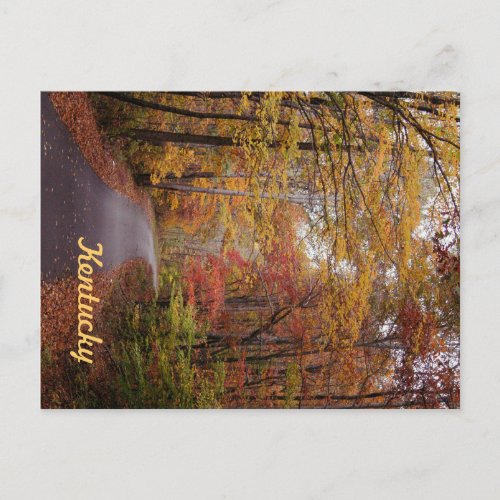 An Autumn Drive by JerseyFawn Postcard