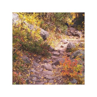 An Autumn Walk Canvas Print