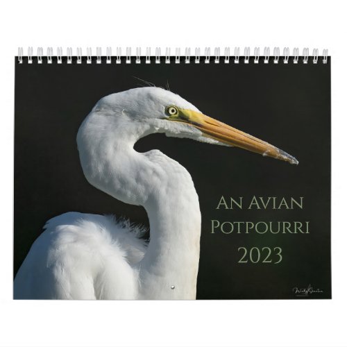 An Avian Potpourri 2023 Calendar