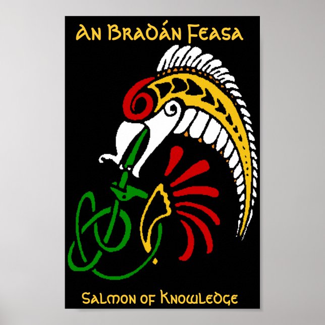 An BradÃ¡n Feasa - The Salmon of Knowledge Poster (Front)