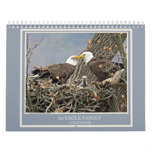 An Eagle Family Calendar (Cover)