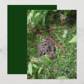 An Earthworm (Front/Back)