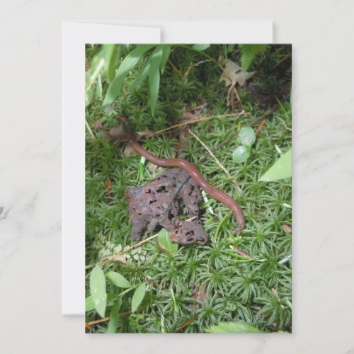 An Earthworm Personalized Invites
