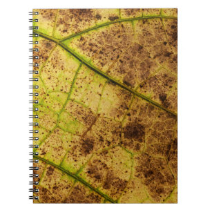 An Earthy Yellow and Brown Leaf Macro Image Notebook