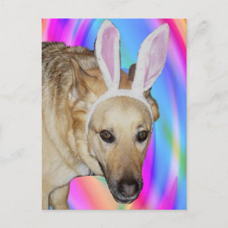 An Easter Bunny? Holiday Postcard