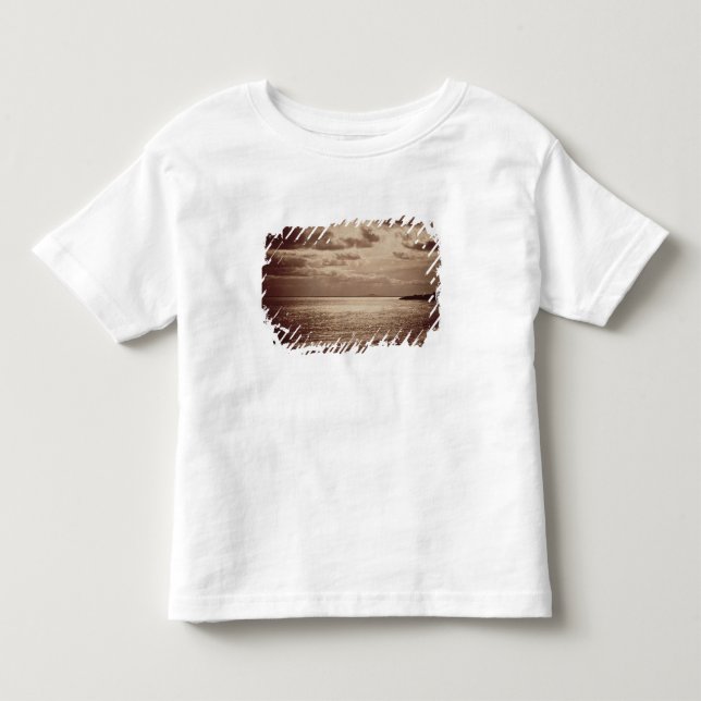 An Effect of the Sun, Normandy c.1857 (sepia photo Toddler T-shirt (Front)