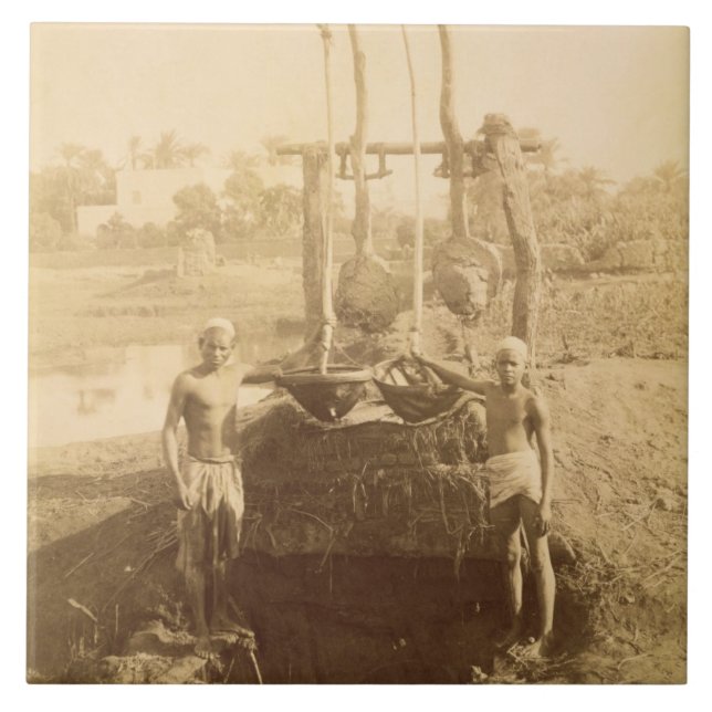 An Egyptian Irrigation Machine on the Banks of the Ceramic Tile (Front)