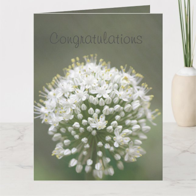 An Elegant Congratulations Card (Front)