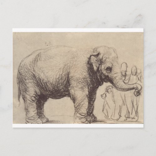 An Elephant by Rembrandt Postcard