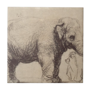 An Elephant by Rembrandt Tile