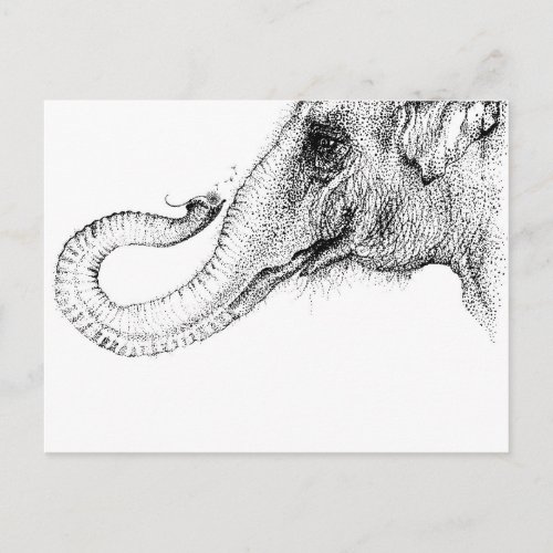 An elephants faithful 100 postcard