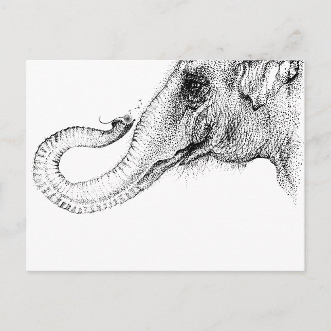 An elephant's faithful 100% postcard (Front)