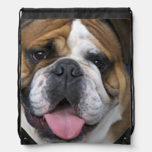 An english bulldog in Belgium. Drawstring Bag