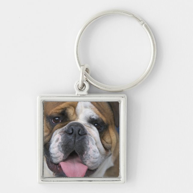 An english bulldog in Belgium. Keychain (Front)
