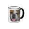 An english bulldog in Belgium.