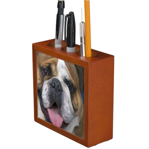 An english bulldog in Belgium PencilPen Holder