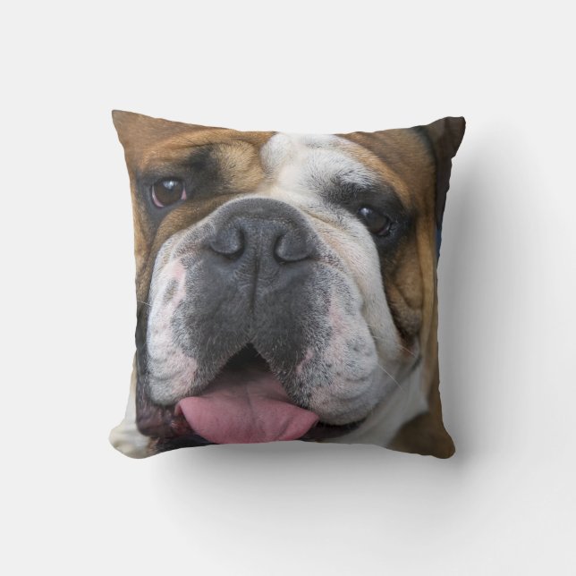 An english bulldog in Belgium Throw Pillow (Front)