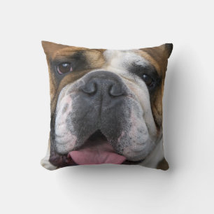 An english bulldog in Belgium. Throw Pillow