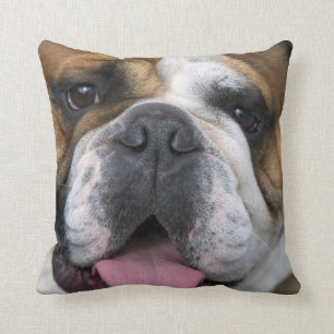 An english bulldog in Belgium. Throw Pillow
