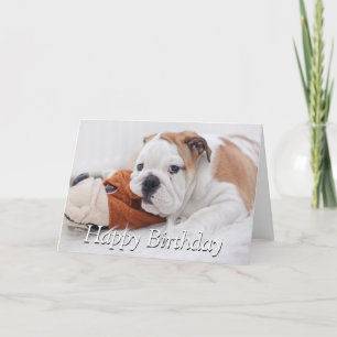 An English Bulldog Puppy Playing With A Bulldog Card