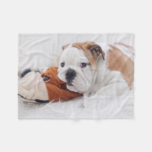 An English Bulldog Puppy Playing With A Bulldog Fleece Blanket (Front (Horizontal))