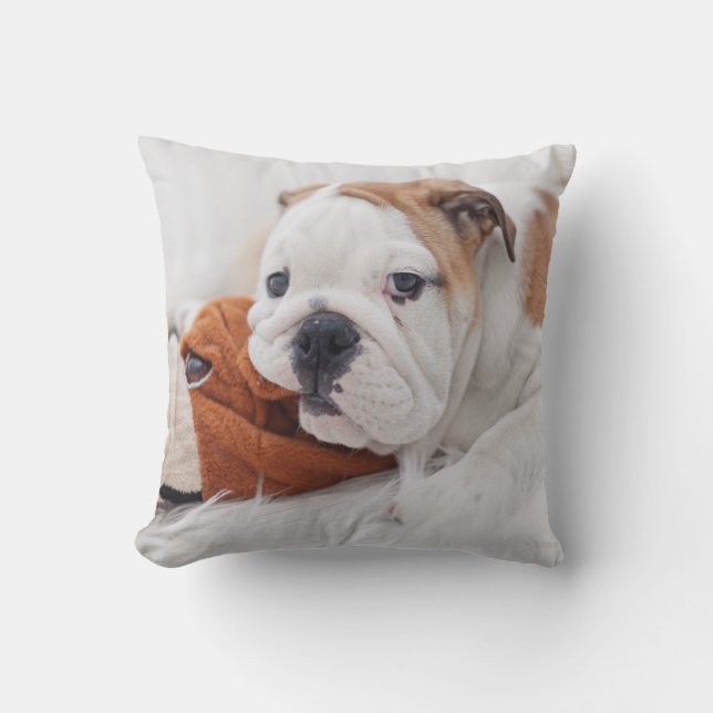 An English Bulldog Puppy Playing With A Bulldog Throw Pillow (Front)