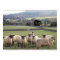 An English Country Scene