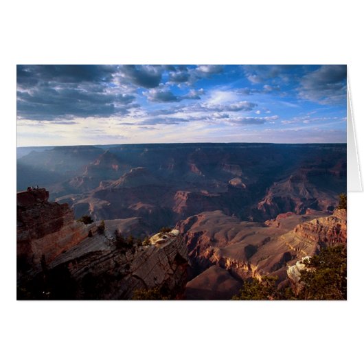 An Enormous Sense Cards (Front Horizontal)