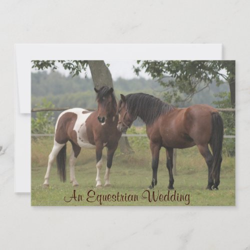 An Equestrian Wedding Invitation for Horse Lovers