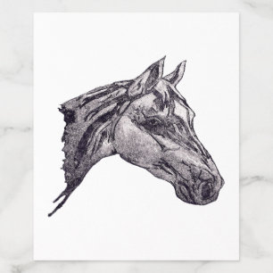 An equine beauty envelope liner