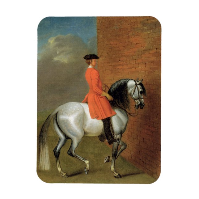 An Exercise in Haute Ecole: The Passage to the Lef Magnet (Vertical)