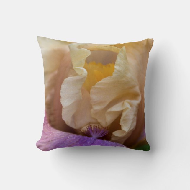 An exquisite pillow of Iris close up (Front)