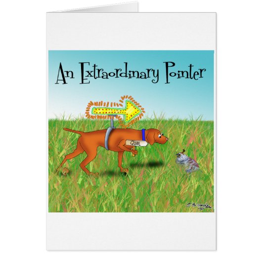 An Extraordinary Pointer Cards (Front)