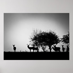 An image of some deer in the morning mist poster