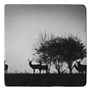 An image of some deer in the morning mist trivet